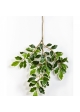 Var. ficus folia spray 48 cm
