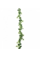Variegated Ivy Garland 180 cm
