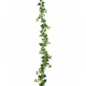 Variegated Ivy Garland 180 cm