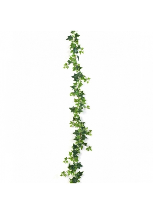 Variegated Ivy Garland 180 cm