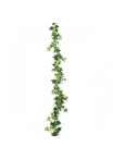 Variegated Ivy Garland 180 cm