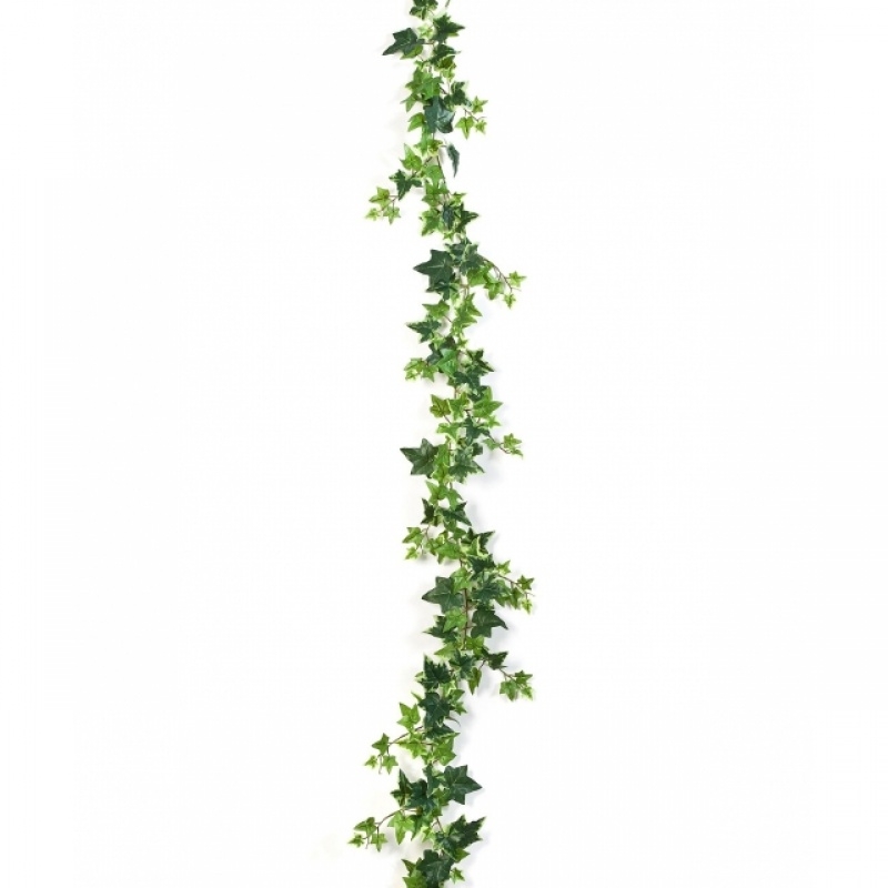 Variegated Ivy Garland 180 cm