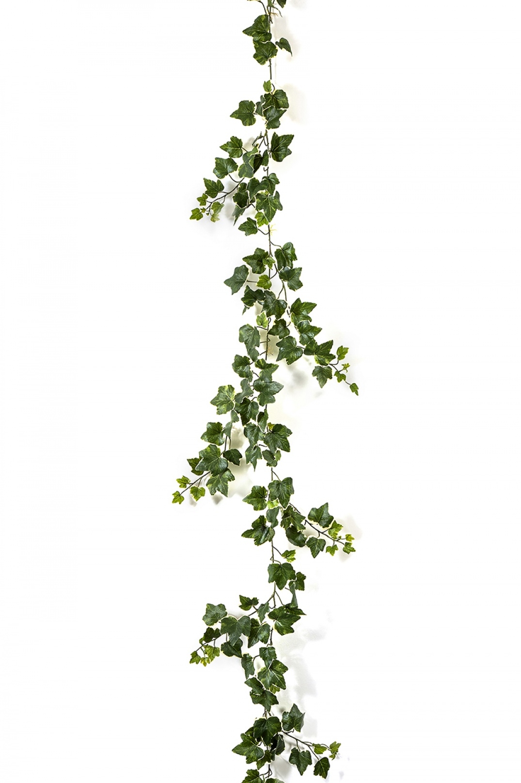 Variegated Ivy Garland x 148 -UV 205 cm