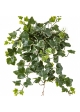 Variegated Ivy Hanging Busch x 133 - UV 48 cm