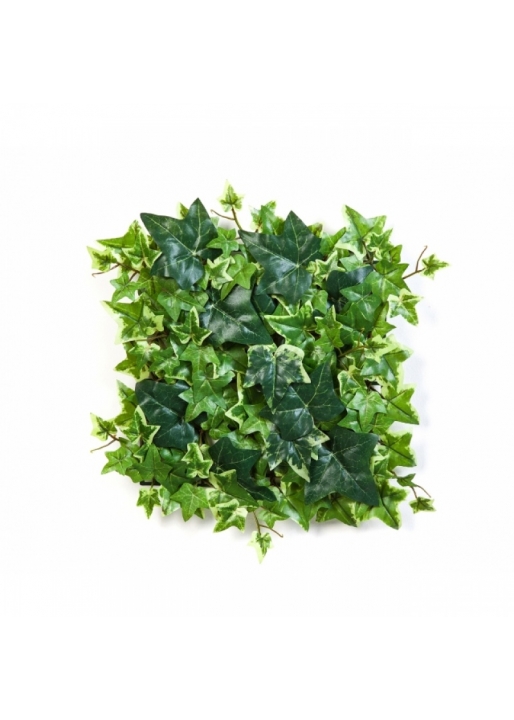 Variegated Ivy Mat 30x30 cm 30 cm