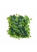 Variegated Ivy Mat 30x30 cm 30 cm