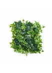Variegated Ivy Mat 30x30 cm 30 cm