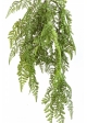 WOOD FERN HANGING BUSH 60 cm