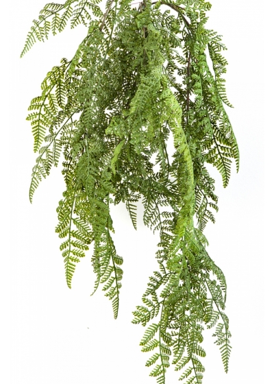 WOOD FERN HANGING BUSH 60 cm