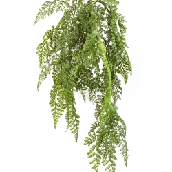 WOOD FERN HANGING BUSH 60 cm