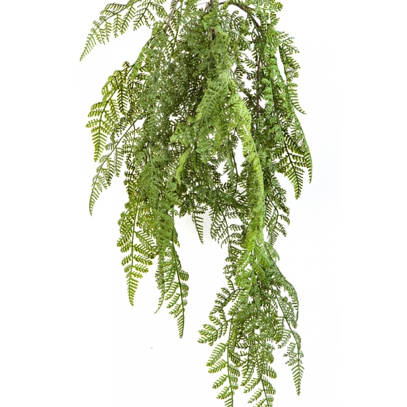 WOOD FERN HANGING BUSH 60 cm