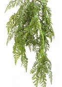 WOOD FERN HANGING BUSH 60 cm