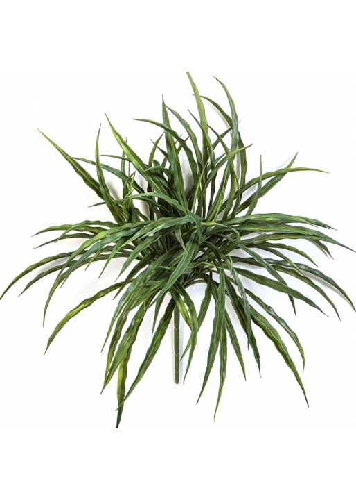 Woodrush Grass Bunch -UV 36 cm