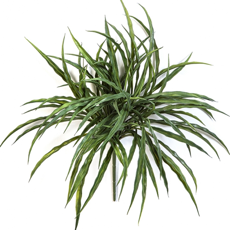 Woodrush Grass Bunch -UV 36 cm