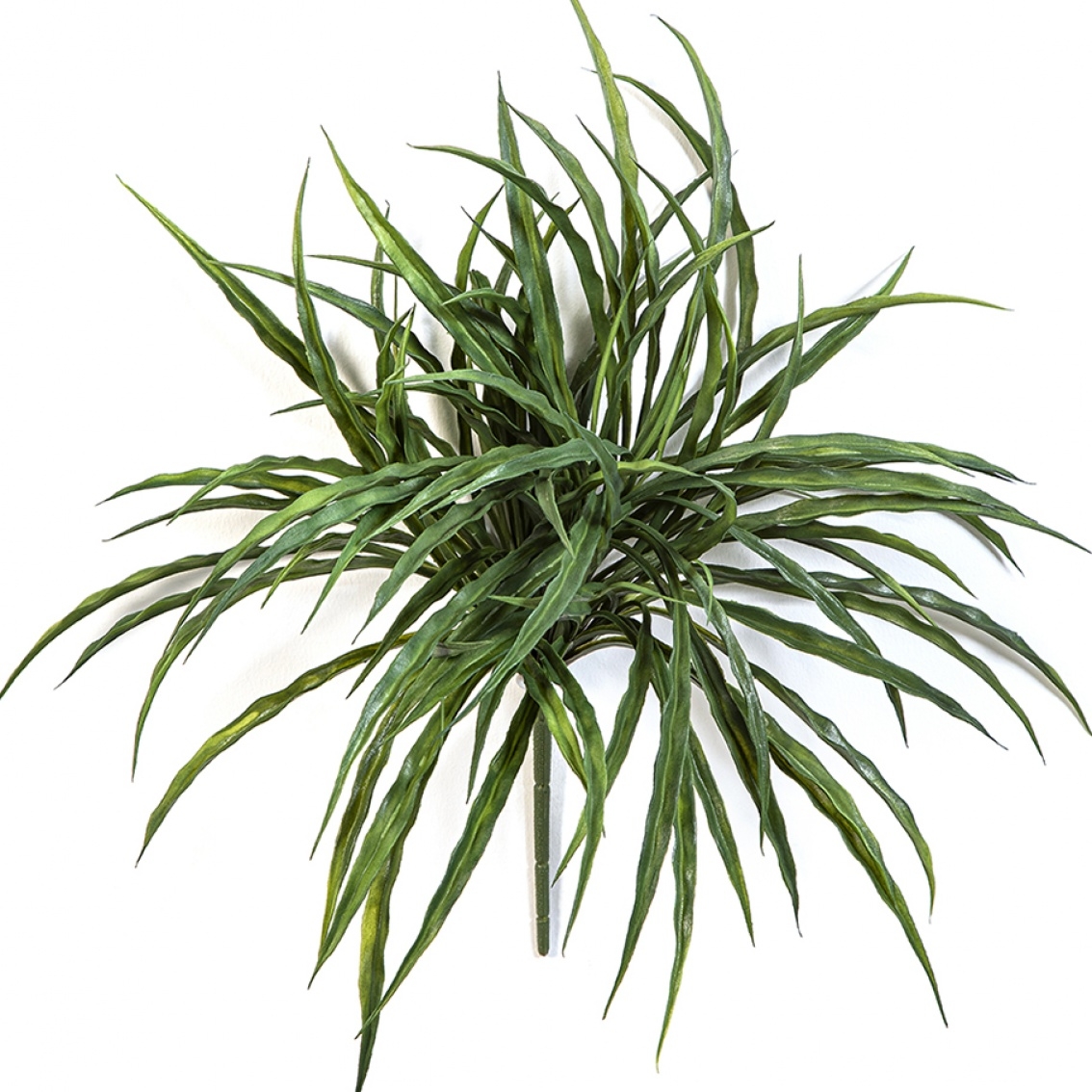 Woodrush Grass Bunch -UV 36 cm