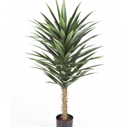 Yucca Bush 130 cm