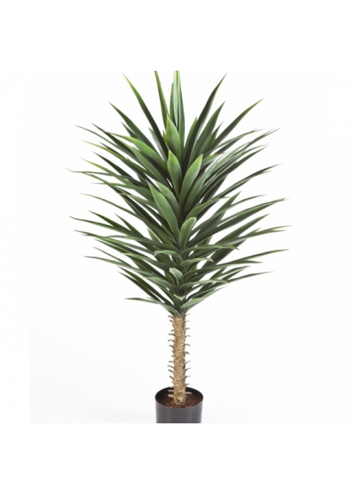 Yucca Bush 130 cm