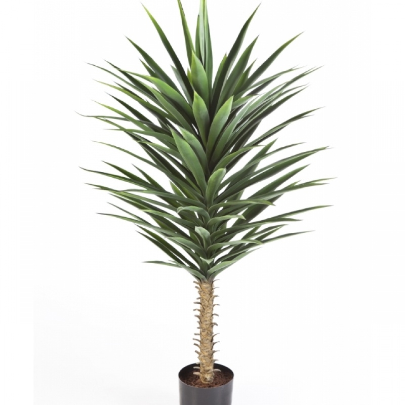 Yucca Bush 130 cm