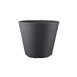 Vaso Ribeira