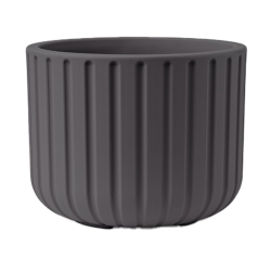 Vaso Echo