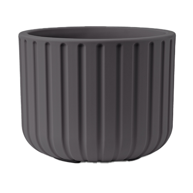 Vaso Echo