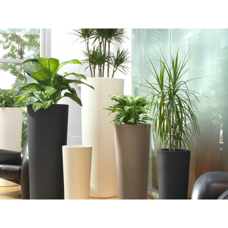 Vaso Schio Cono