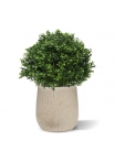 Vaso Baq Raindrop Couple Planter
