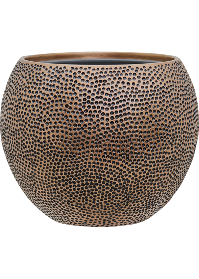 Vaso Baq Opus Hit Globe (with Insert Tray)