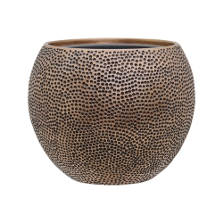 Vaso Baq Opus Hit Globe (with Insert Tray)
