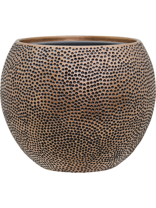 Vaso Baq Opus Hit Globe (with Insert Tray)