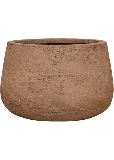 Vaso Baq Algar Darcy