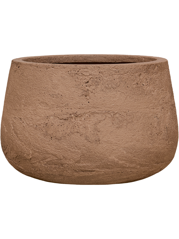 Vaso Baq Algar Darcy