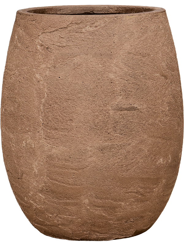 Vaso Baq Algar Balloon