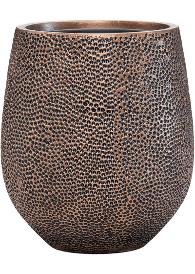 Vaso Baq Opus Hit Darcy (with Liner)