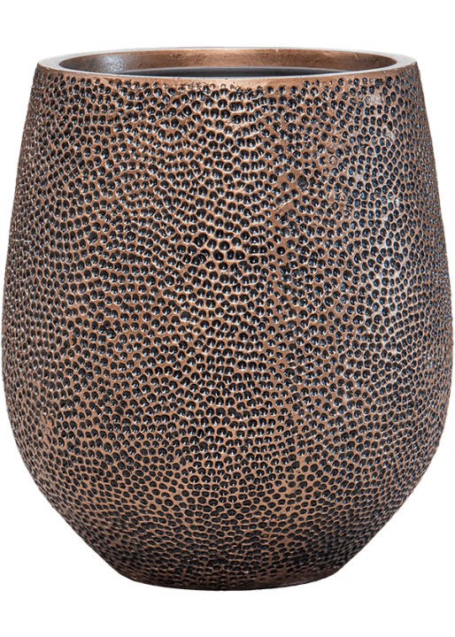 Vaso Baq Opus Hit Darcy (with Liner)