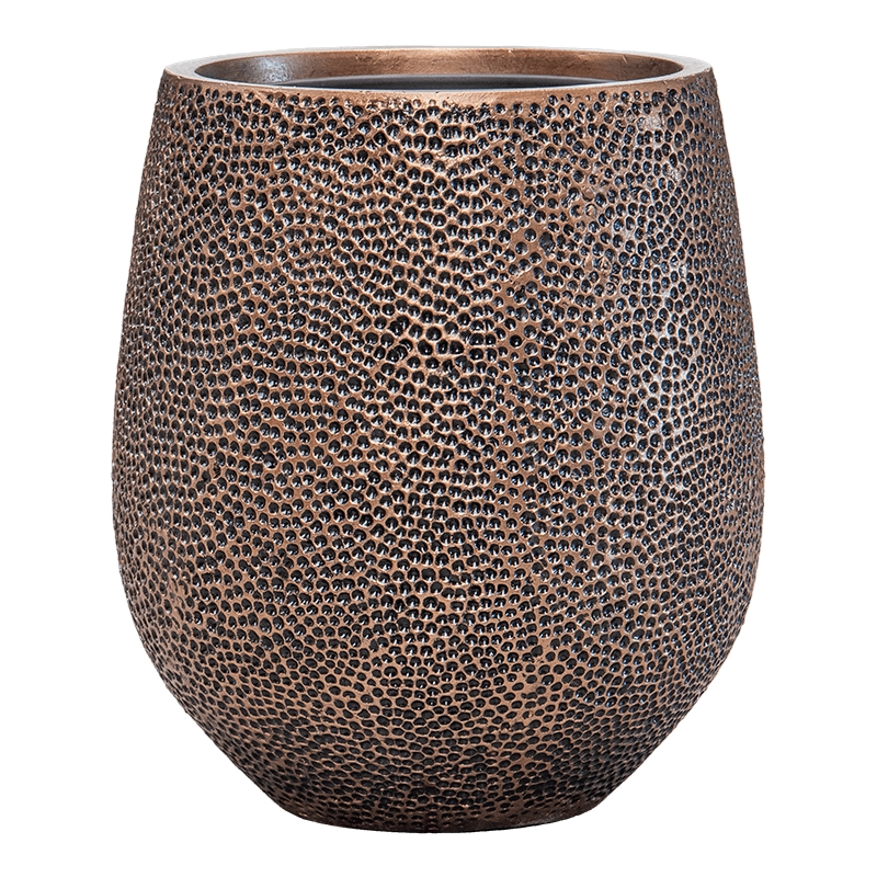 Vaso Baq Opus Hit Darcy (with Liner)