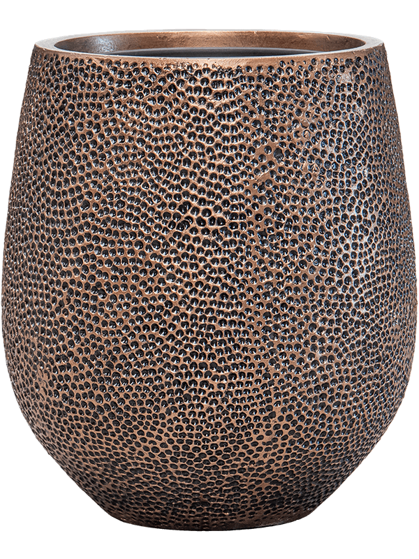 Vaso Baq Opus Hit Darcy (with Liner)