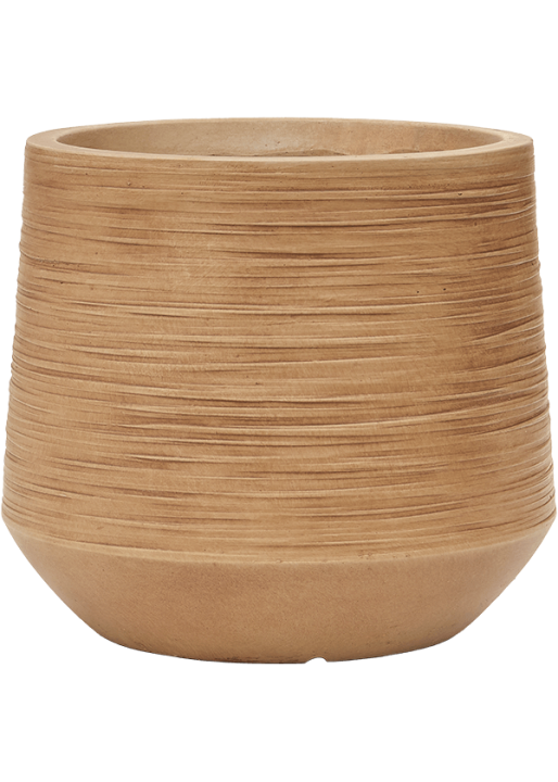 Vaso Baq Dune Darcy