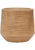 Vaso Baq Dune Darcy