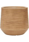 Vaso Baq Dune Darcy