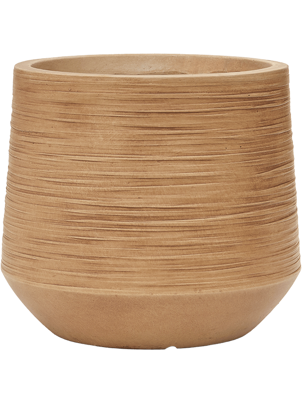 Vaso Baq Dune Darcy