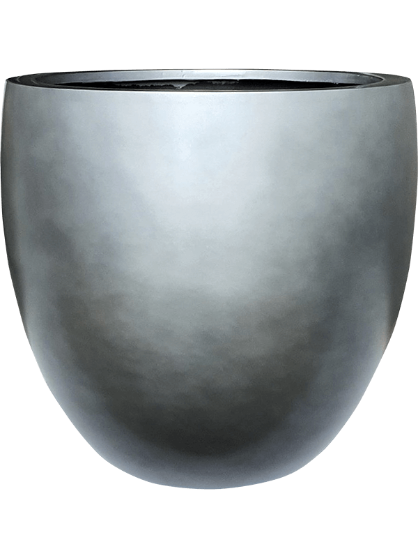 Vaso Baq Gradient Balloon