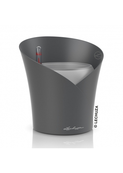 Vaso LECHUZA ORCHIDEA