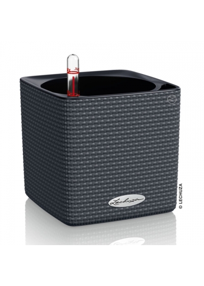 Vaso LECHUZA CUBE Color