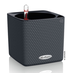 Vaso LECHUZA CUBE Color