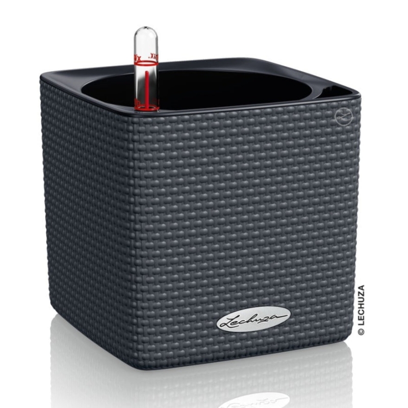 Vaso LECHUZA CUBE Color