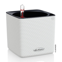 Vaso LECHUZA CUBE Color