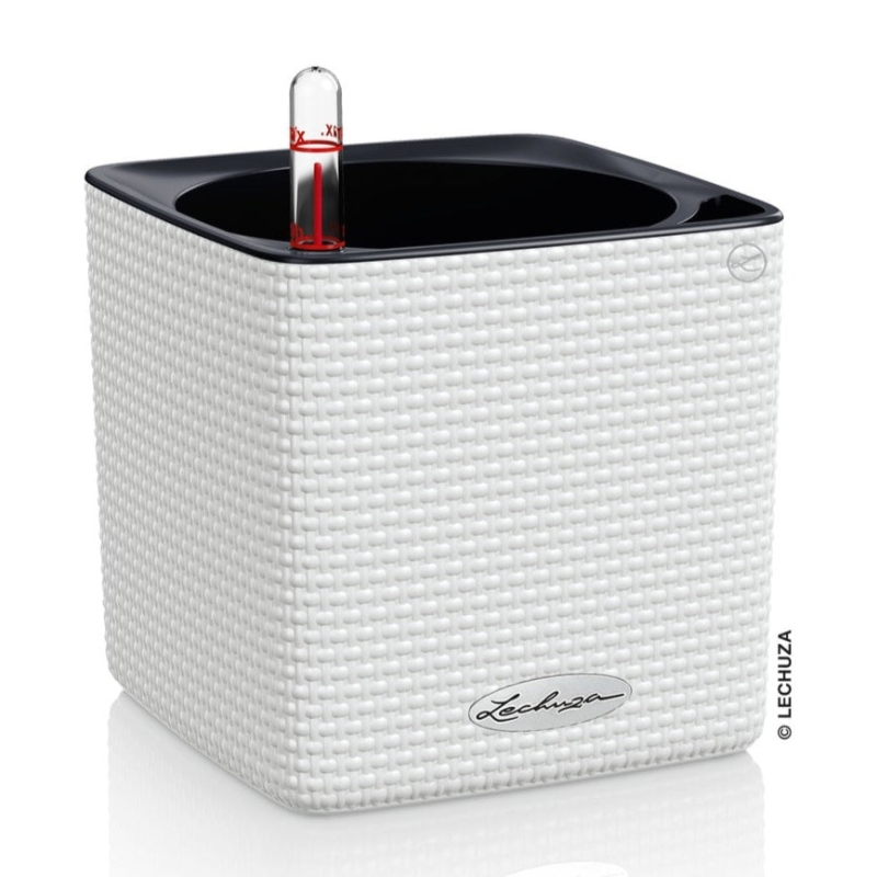 Vaso LECHUZA CUBE Color