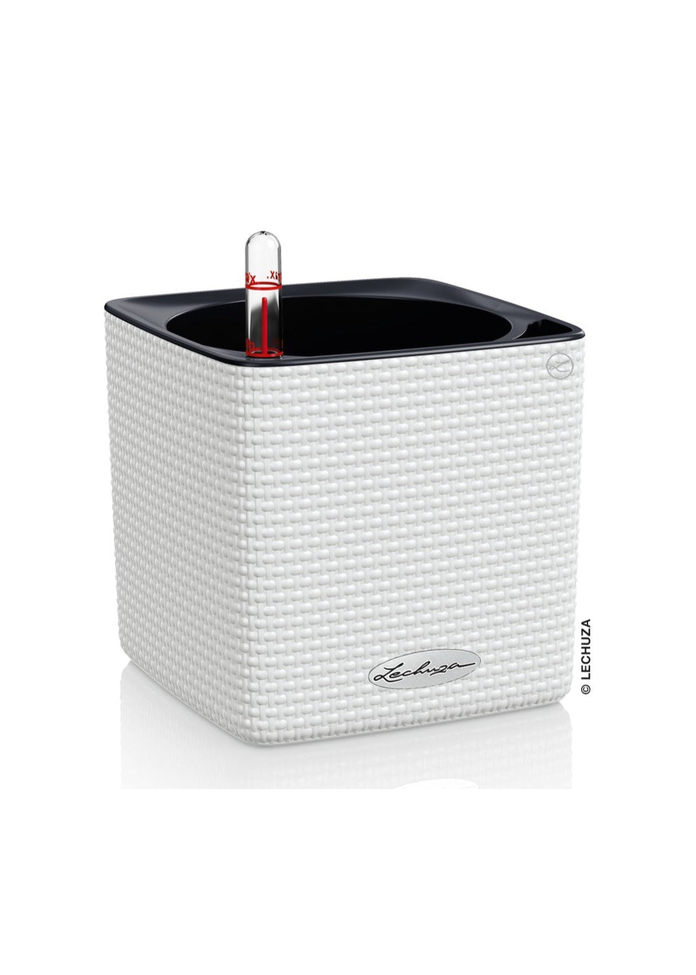 Vaso LECHUZA CUBE Color