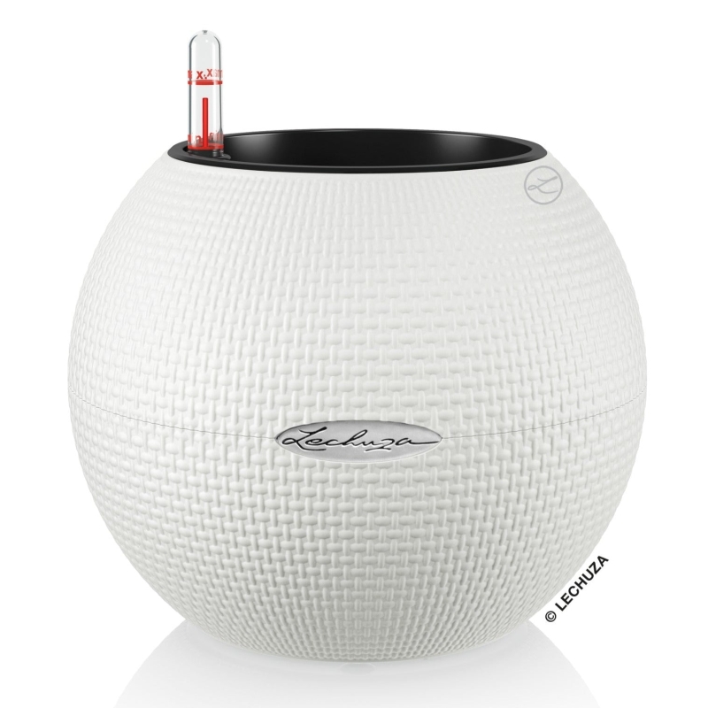 Vaso LECHUZA PURO Color 20